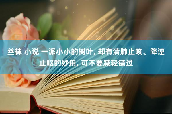 丝袜 小说 一派小小的树叶， 却有清肺止咳、降逆止呕的妙用， 可不要减轻错过