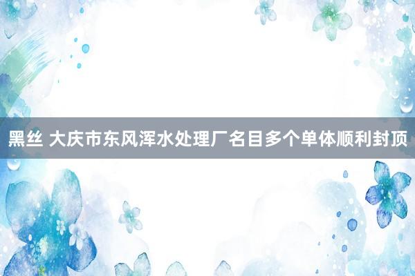 黑丝 大庆市东风浑水处理厂名目多个单体顺利封顶