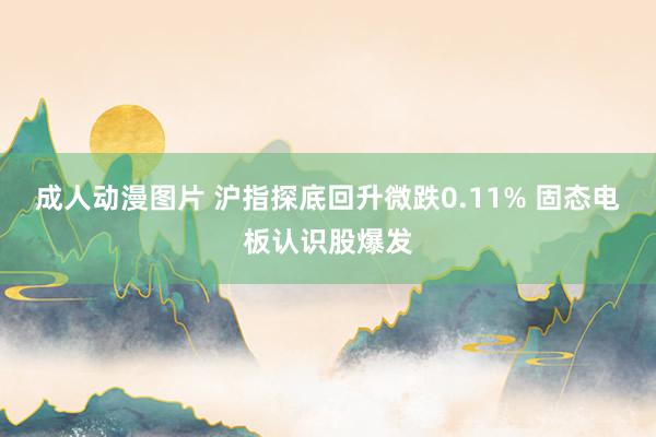 成人动漫图片 沪指探底回升微跌0.11% 固态电板认识股爆发