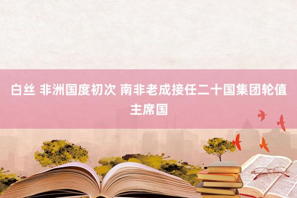 白丝 非洲国度初次 南非老成接任二十国集团轮值主席国