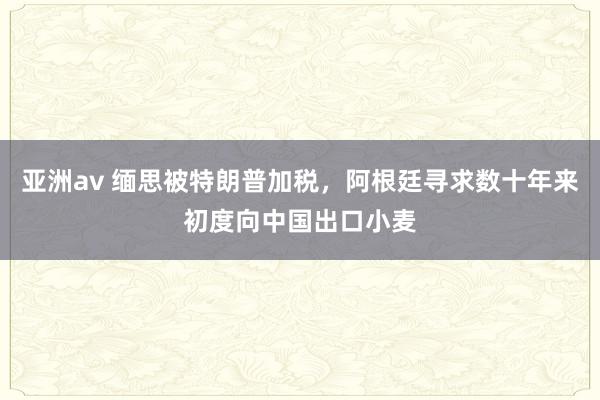 亚洲av 缅思被特朗普加税，阿根廷寻求数十年来初度向中国出口小麦