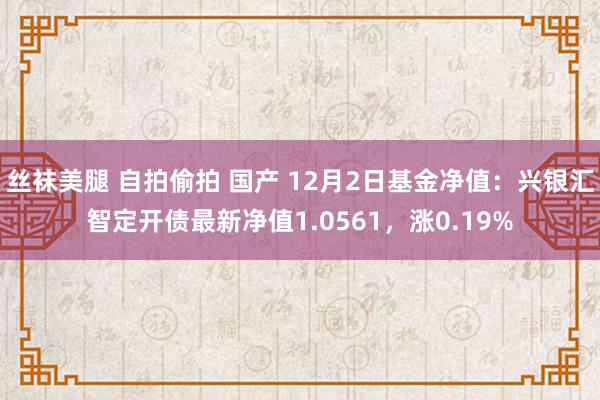 丝袜美腿 自拍偷拍 国产 12月2日基金净值：兴银汇智定开债最新净值1.0561，涨0.19%