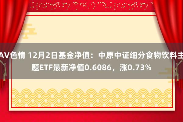 AV色情 12月2日基金净值：中原中证细分食物饮料主题ETF最新净值0.6086，涨0.73%