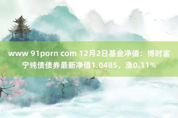 www 91porn com 12月2日基金净值：博时富宁纯债债券最新净值1.0485，涨0.11%