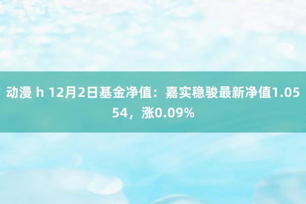 动漫 h 12月2日基金净值：嘉实稳骏最新净值1.0554，涨0.09%