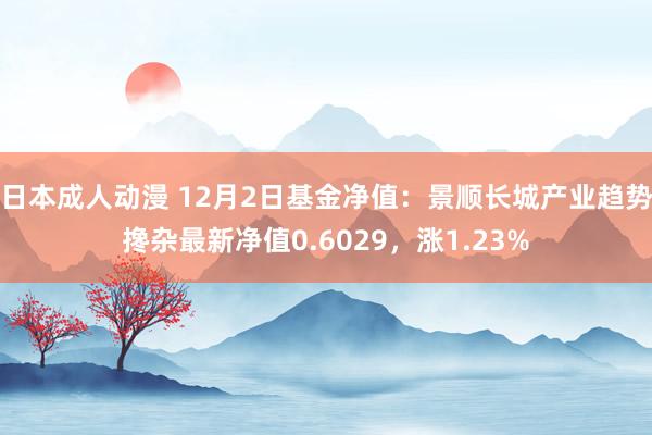 日本成人动漫 12月2日基金净值：景顺长城产业趋势搀杂最新净值0.6029，涨1.23%