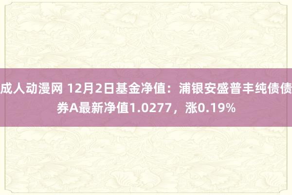 成人动漫网 12月2日基金净值：浦银安盛普丰纯债债券A最新净值1.0277，涨0.19%