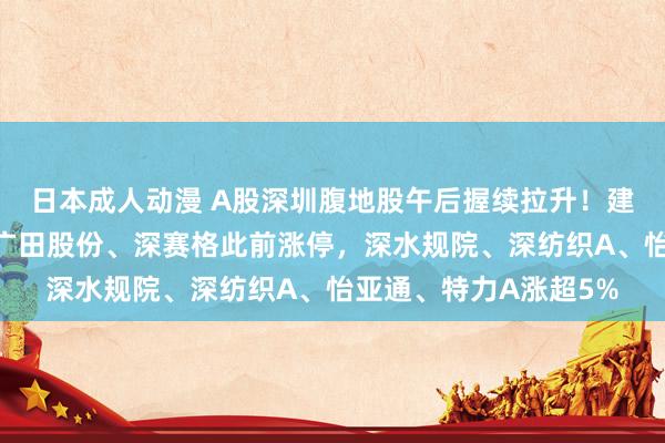 日本成人动漫 A股深圳腹地股午后握续拉升！建科院一度冲击涨停，广田股份、深赛格此前涨停，深水规院、深纺织A、怡亚通、特力A涨超5%