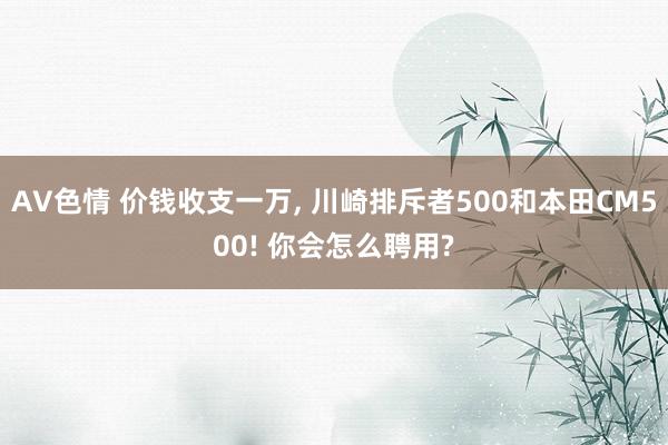 AV色情 价钱收支一万, 川崎排斥者500和本田CM500! 你会怎么聘用?