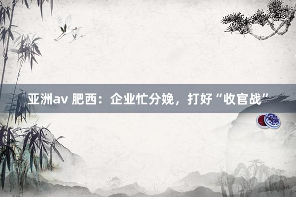 亚洲av 肥西：企业忙分娩，打好“收官战”