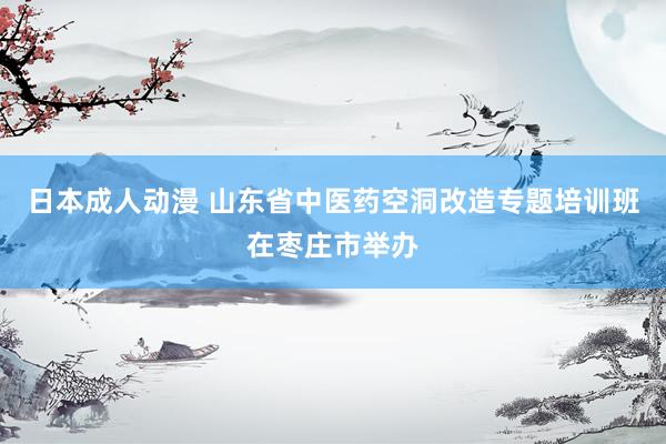 日本成人动漫 山东省中医药空洞改造专题培训班在枣庄市举办