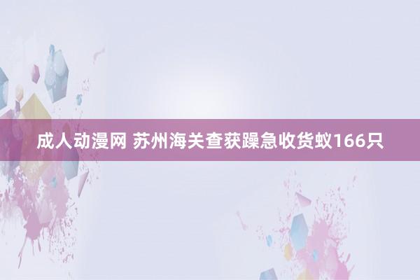 成人动漫网 苏州海关查获躁急收货蚁166只