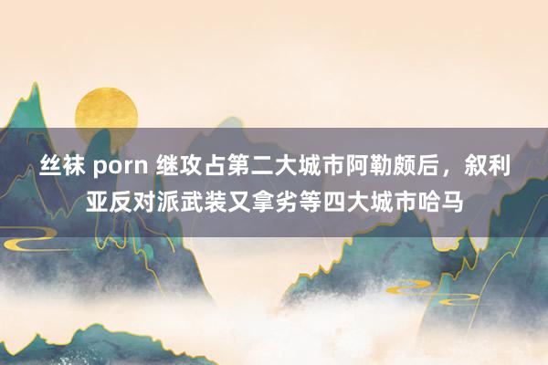 丝袜 porn 继攻占第二大城市阿勒颇后，叙利亚反对派武装又拿劣等四大城市哈马