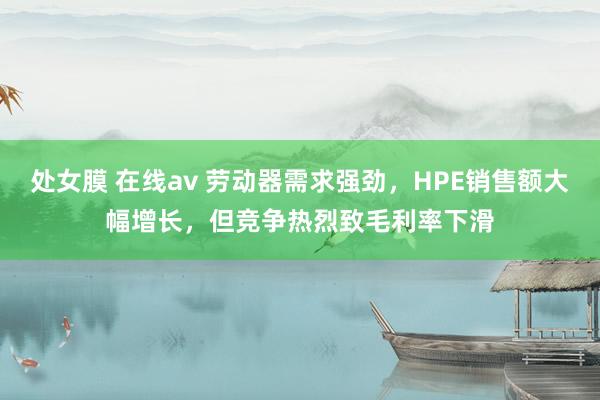 处女膜 在线av 劳动器需求强劲，HPE销售额大幅增长，但竞争热烈致毛利率下滑