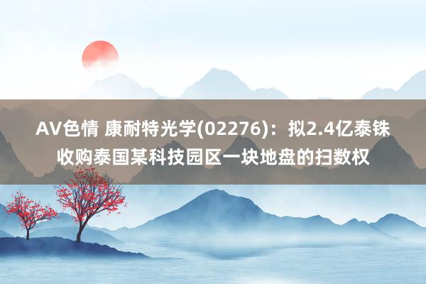 AV色情 康耐特光学(02276)：拟2.4亿泰铢收购泰国某科技园区一块地盘的扫数权