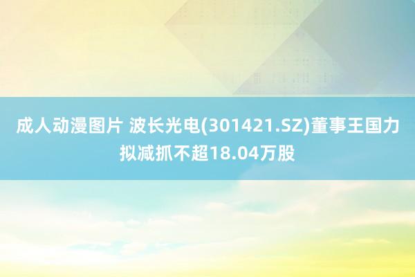 成人动漫图片 波长光电(301421.SZ)董事王国力拟减抓不超18.04万股