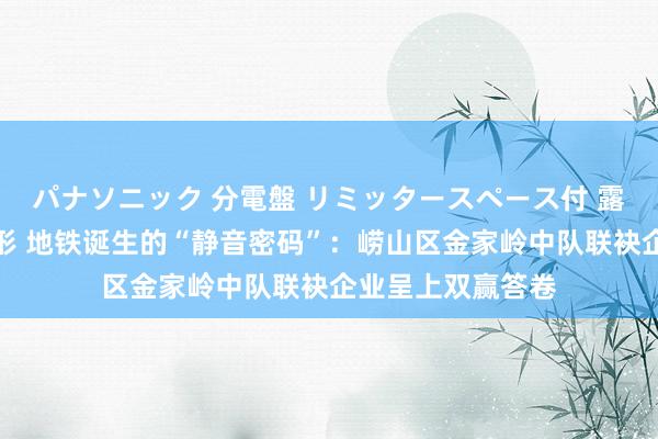 パナソニック 分電盤 リミッタースペース付 露出・半埋込両用形 地铁诞生的“静音密码”：崂山区金家岭中队联袂企业呈上双赢答卷