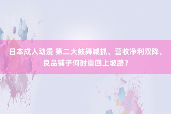 日本成人动漫 第二大鼓舞减抓、营收净利双降，良品铺子何时重回上坡路？