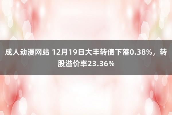 成人动漫网站 12月19日大丰转债下落0.38%，转股溢价率23.36%