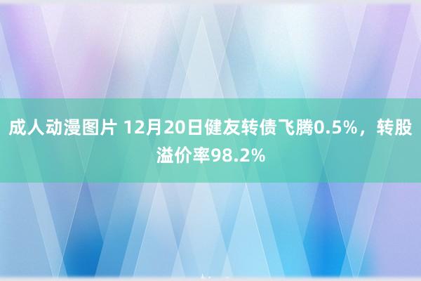 成人动漫图片 12月20日健友转债飞腾0.5%，转股溢价率98.2%