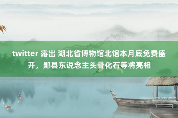 twitter 露出 湖北省博物馆北馆本月底免费盛开，郧县东说念主头骨化石等将亮相