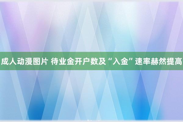 成人动漫图片 待业金开户数及“入金”速率赫然提高