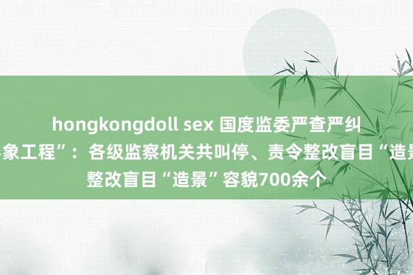 hongkongdoll sex 国度监委严查严纠“治绩工程”“形象工程”：各级监察机关共叫停、责令整改盲目“造景”容貌700余个