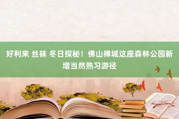 好利来 丝袜 冬日探秘！佛山禅城这座森林公园新增当然熟习游径