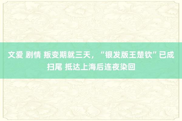 文爱 剧情 叛变期就三天，“银发版王楚钦”已成扫尾 抵达上海后连夜染回