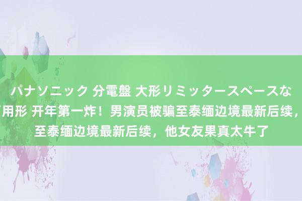 パナソニック 分電盤 大形リミッタースペースなし 露出・半埋込両用形 开年第一炸！男演员被骗至泰缅边境最新后续，他女友果真太牛了