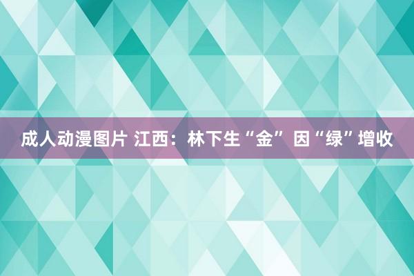 成人动漫图片 江西：林下生“金” 因“绿”增收