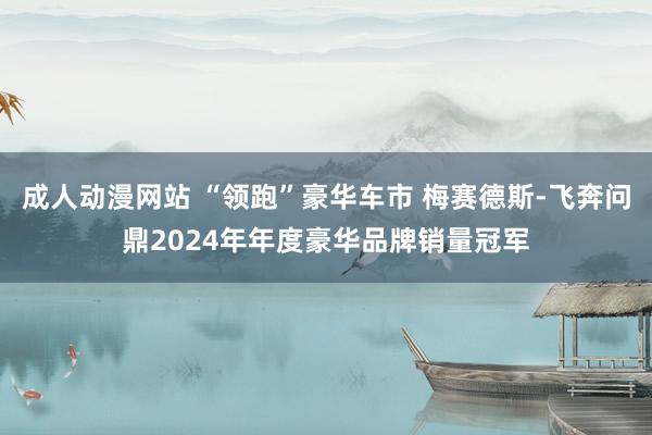 成人动漫网站 “领跑”豪华车市 梅赛德斯-飞奔问鼎2024年年度豪华品牌销量冠军