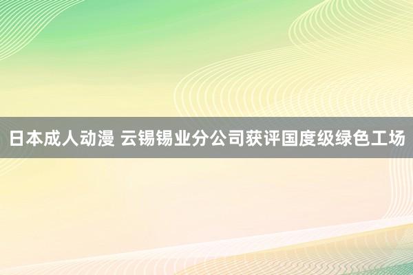 日本成人动漫 云锡锡业分公司获评国度级绿色工场