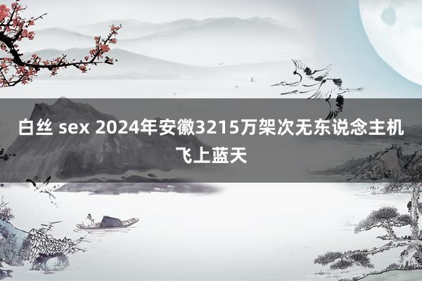 白丝 sex 2024年安徽3215万架次无东说念主机飞上蓝天