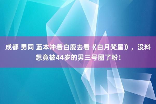 成都 男同 蓝本冲着白鹿去看《白月梵星》，没料想竟被44岁的男三号圈了粉！