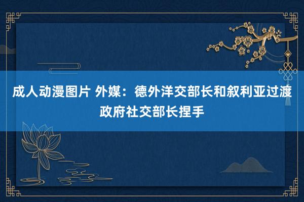 成人动漫图片 外媒：德外洋交部长和叙利亚过渡政府社交部长捏手