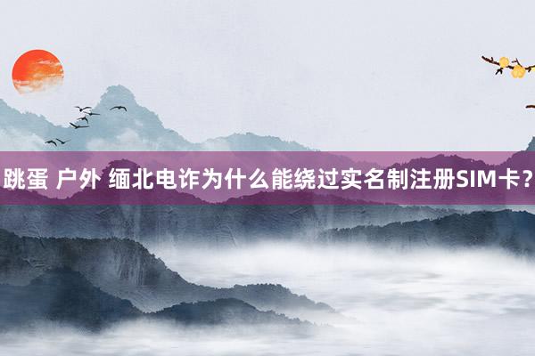 跳蛋 户外 缅北电诈为什么能绕过实名制注册SIM卡？