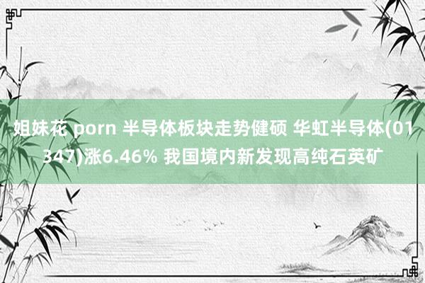 姐妹花 porn 半导体板块走势健硕 华虹半导体(01347)涨6.46% 我国境内新发现高纯石英矿