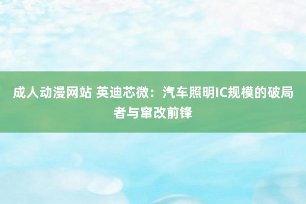 成人动漫网站 英迪芯微：汽车照明IC规模的破局者与窜改前锋