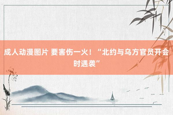成人动漫图片 要害伤一火！“北约与乌方官员开会时遇袭”