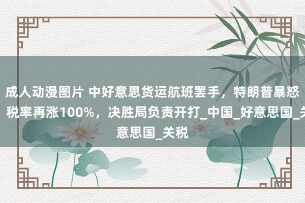 成人动漫图片 中好意思货运航班罢手，特朗普暴怒了，税率再涨100%，决胜局负责开打_中国_好意思国_关税