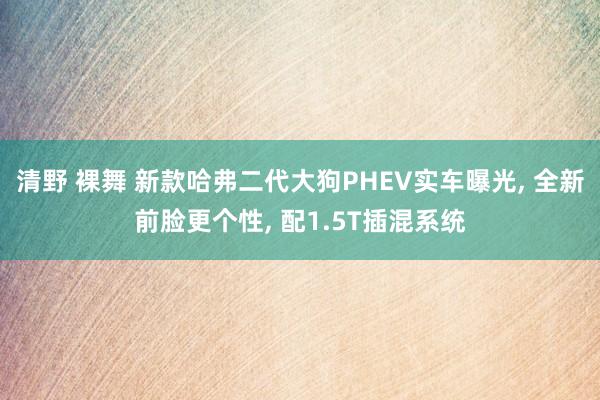 清野 裸舞 新款哈弗二代大狗PHEV实车曝光, 全新前脸更个性, 配1.5T插混系统