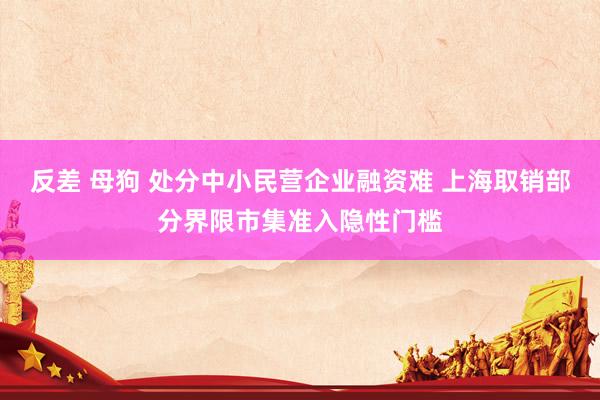 反差 母狗 处分中小民营企业融资难 上海取销部分界限市集准入隐性门槛