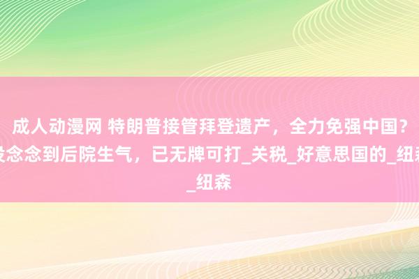 成人动漫网 特朗普接管拜登遗产，全力免强中国？没念念到后院生气，已无牌可打_关税_好意思国的_纽森