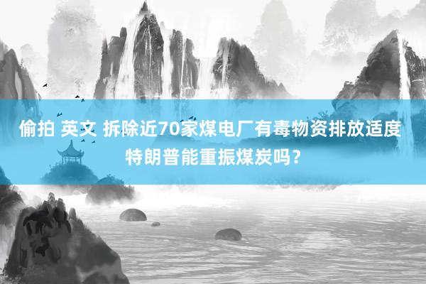 偷拍 英文 拆除近70家煤电厂有毒物资排放适度 特朗普能重振煤炭吗？