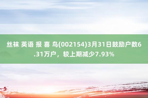 丝袜 英语 报 喜 鸟(002154)3月31日鼓励户数6.31万户，较上期减少7.93%