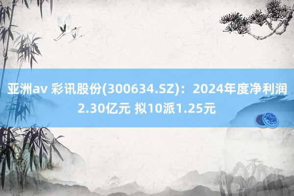 亚洲av 彩讯股份(300634.SZ)：2024年度净利润2.30亿元 拟10派1.25元