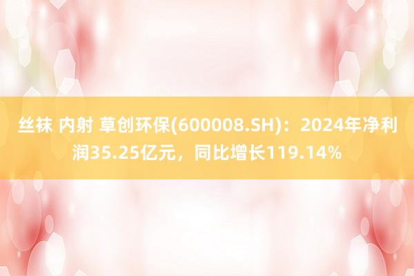 丝袜 内射 草创环保(600008.SH)：2024年净利润35.25亿元，同比增长119.14%