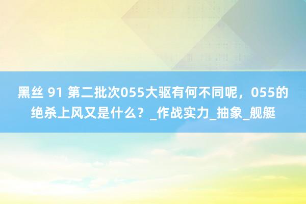 黑丝 91 第二批次055大驱有何不同呢，055的绝杀上风又是什么？_作战实力_抽象_舰艇