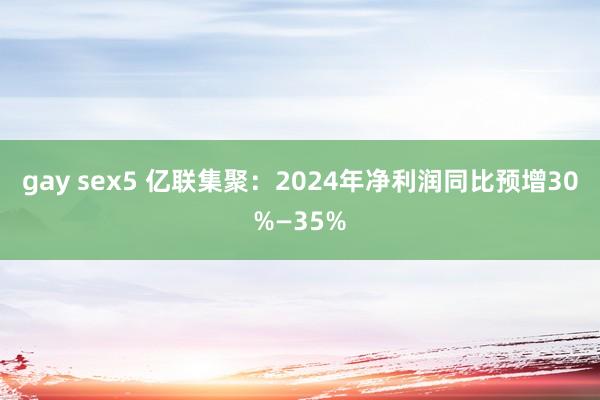gay sex5 亿联集聚：2024年净利润同比预增30%—35%